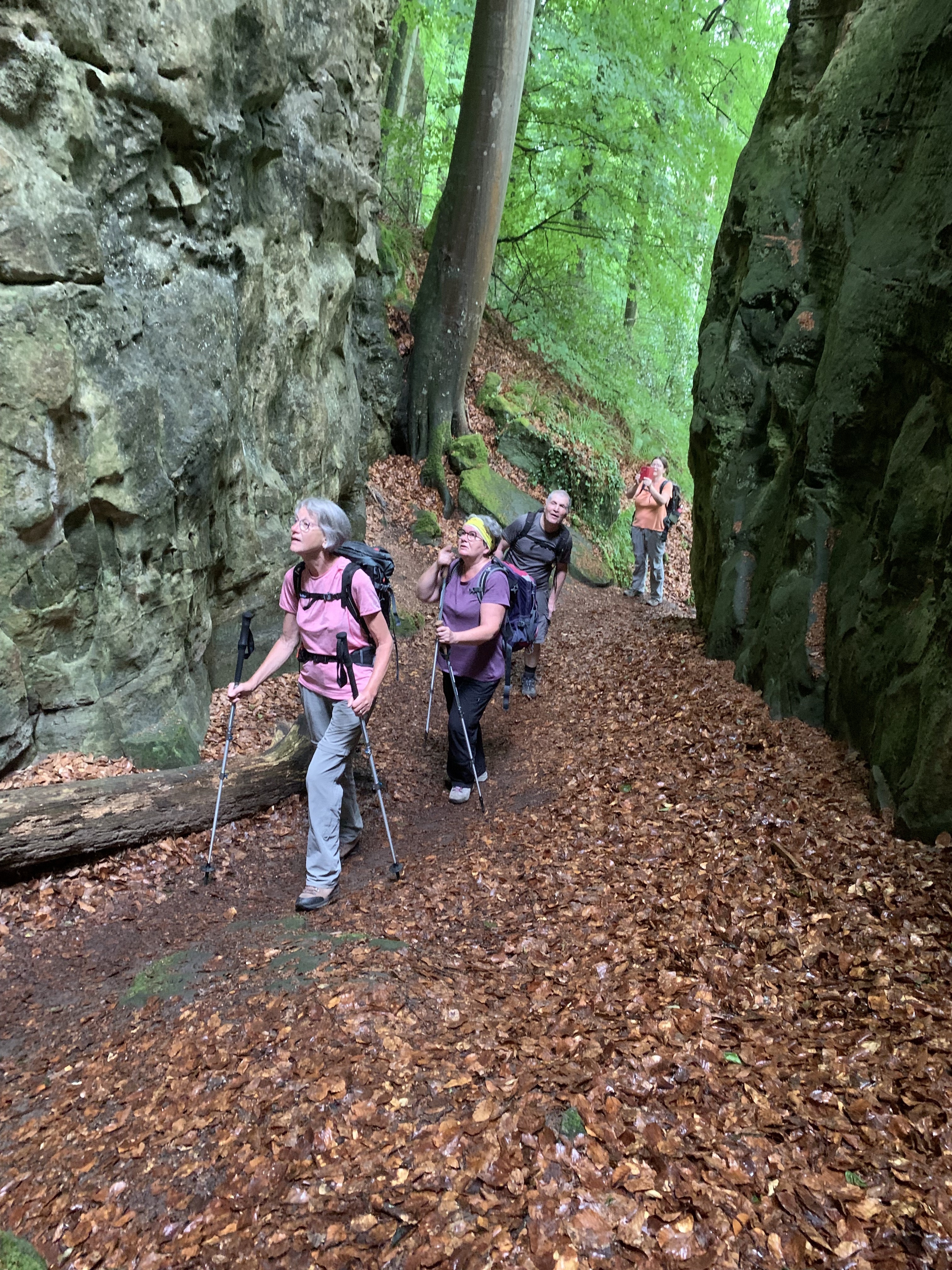 Luxembourg, Mullerthal trail
