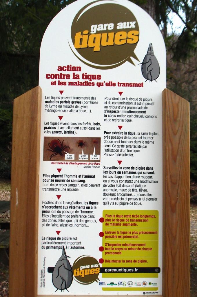 12-Stig Gueberschwihr (19)