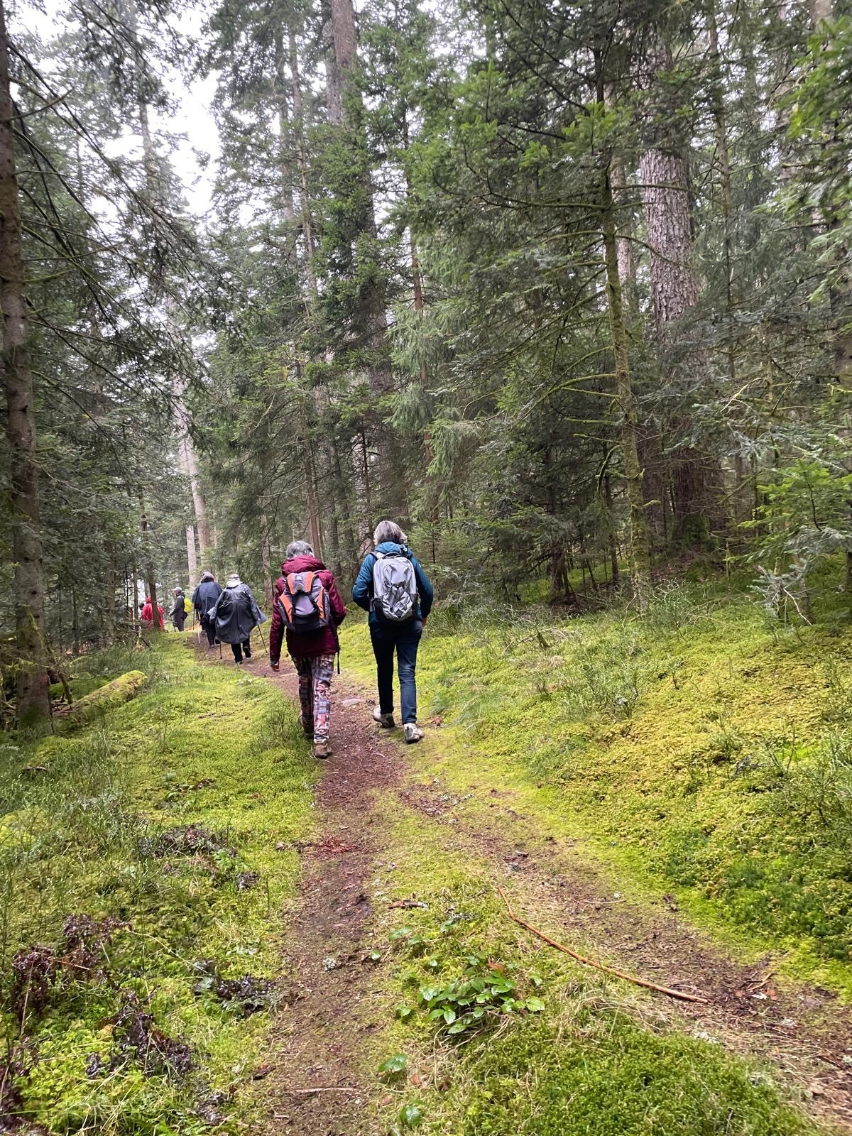 850bae7c a099 499d 93c7 be9568332841