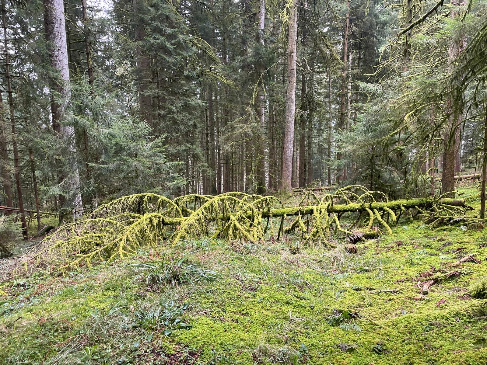 F866d8e1 4dd4 4053 82b9 b8d9e4daa231