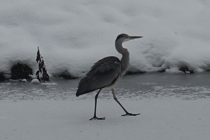 2023 Week-end Triberg