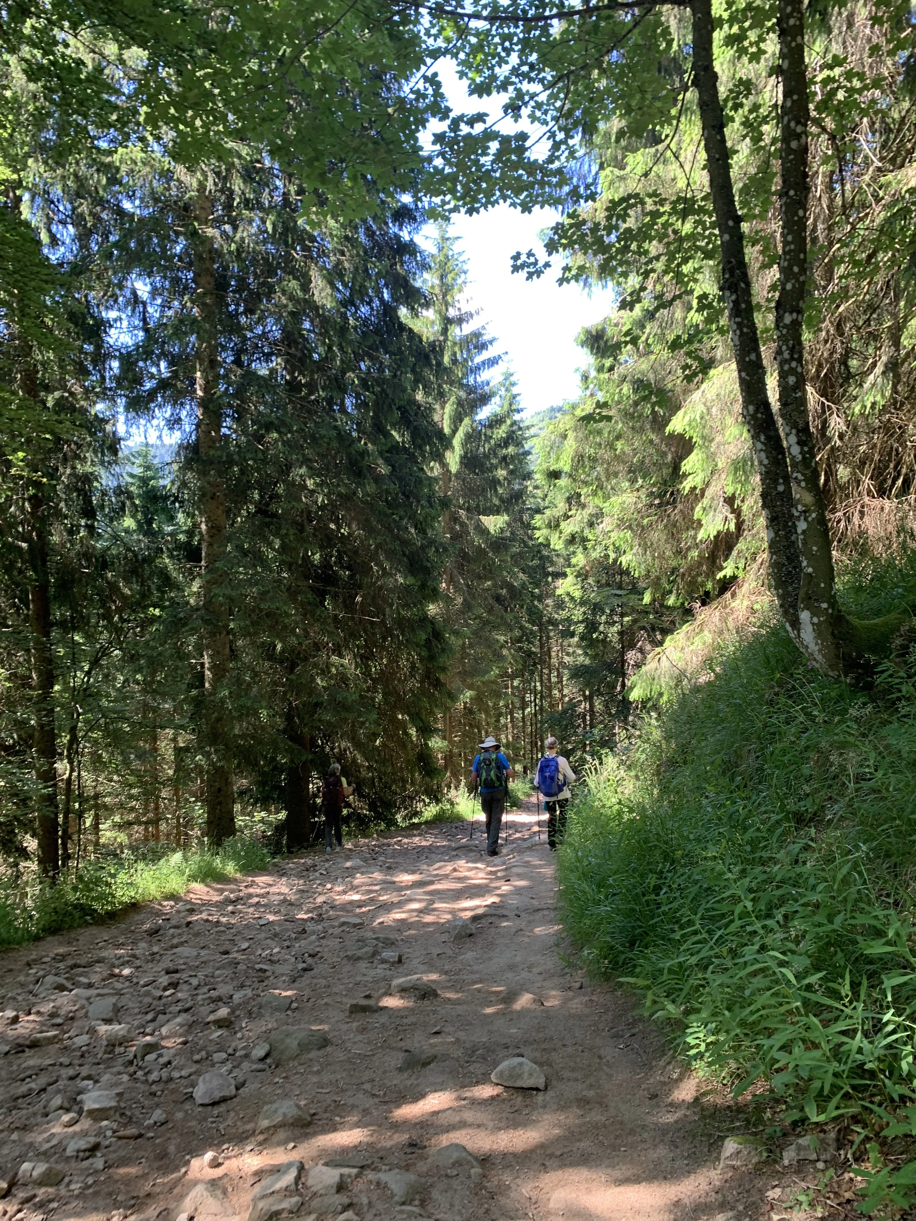 2025-06 Week-end Bagenelles