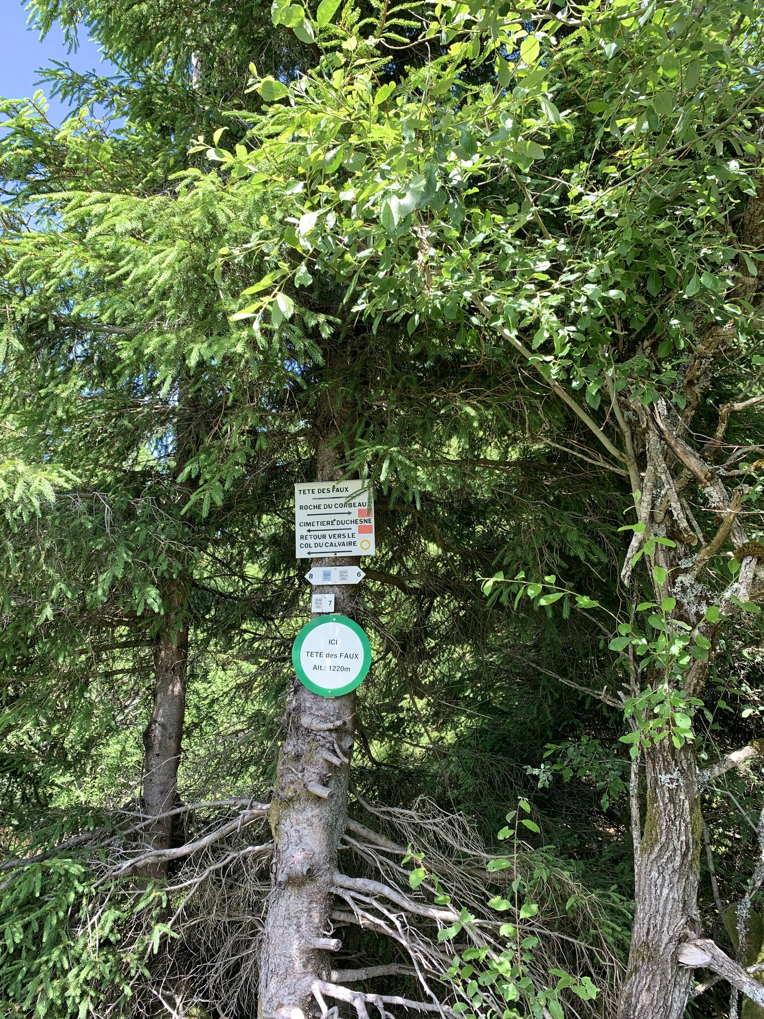 2025-06 Week-end Bagenelles