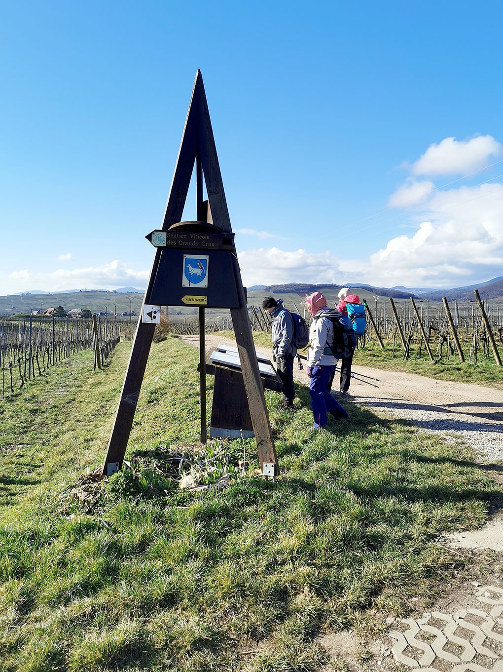 Mittelwihr - Amandiers en fleurs
