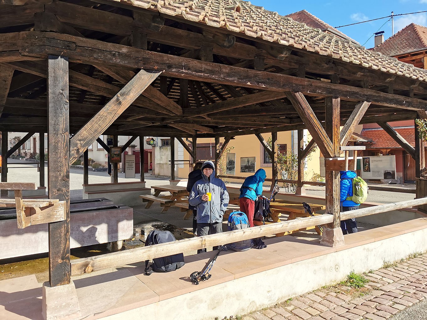 Mittelwihr - Amandiers en fleurs