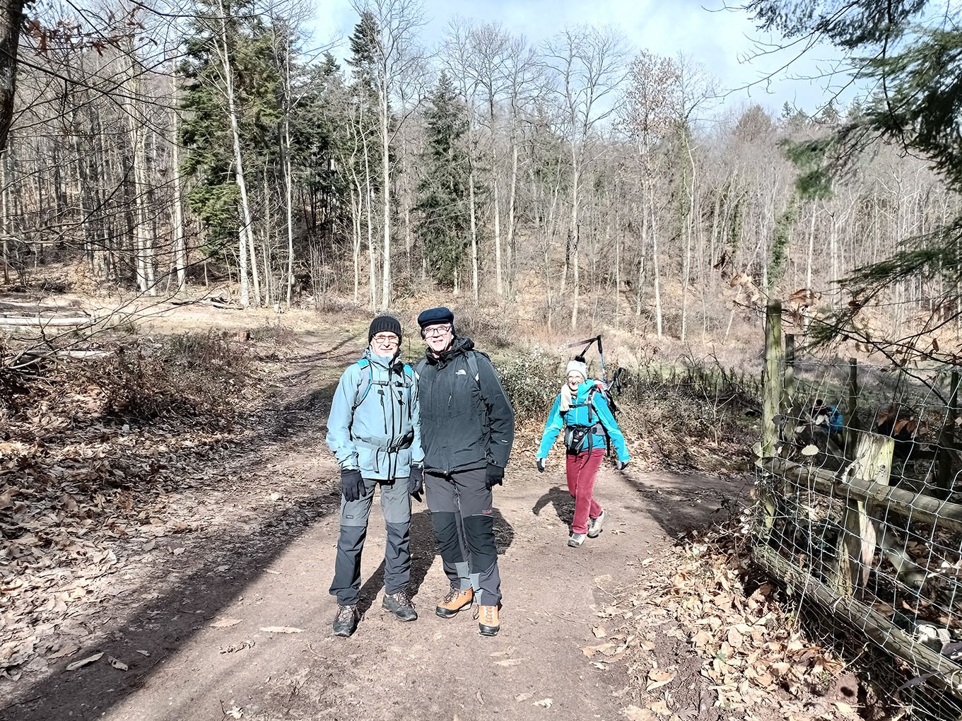 Mittelwihr - Amandiers en fleurs