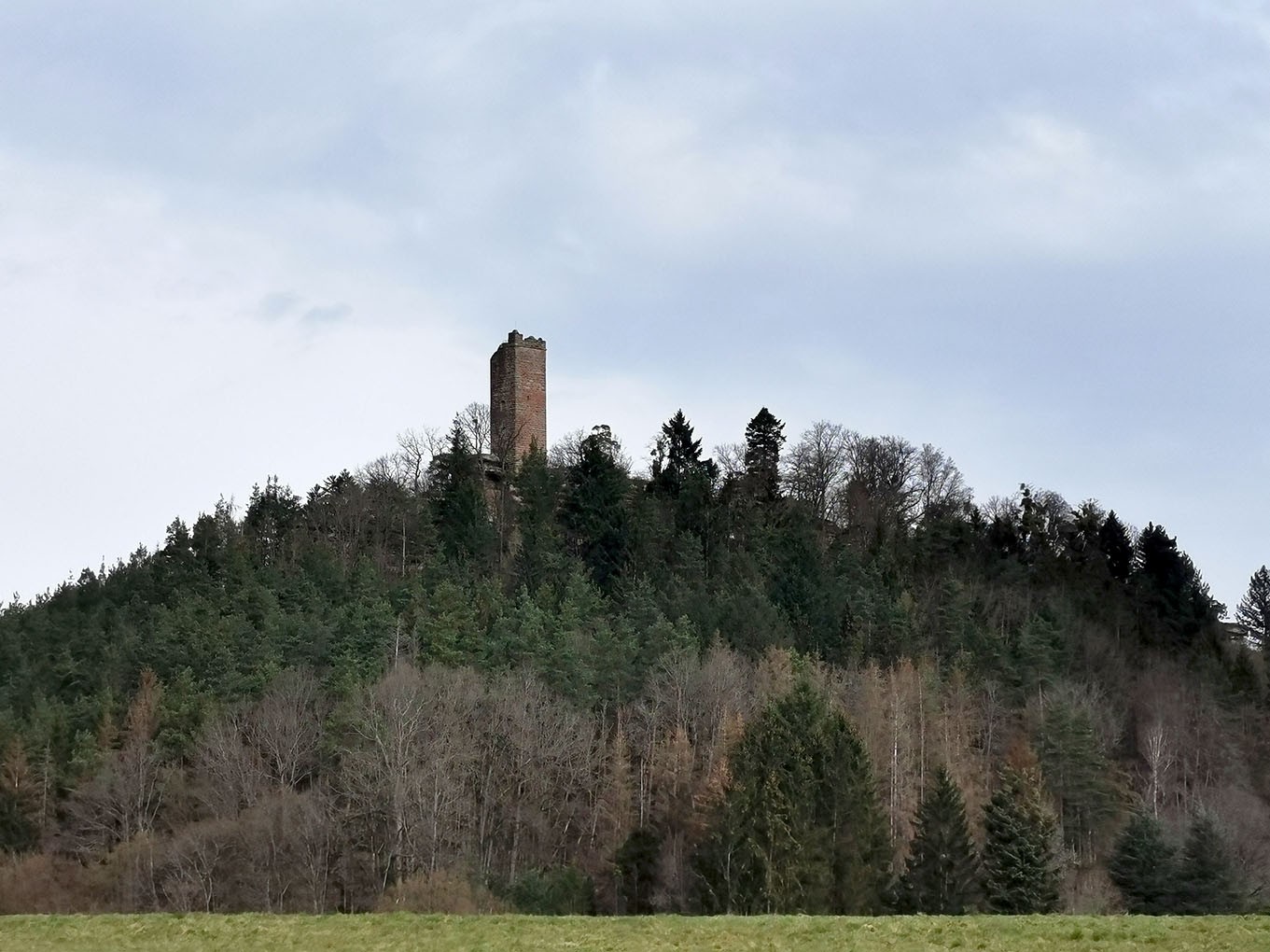 Randonnée étang de hanau