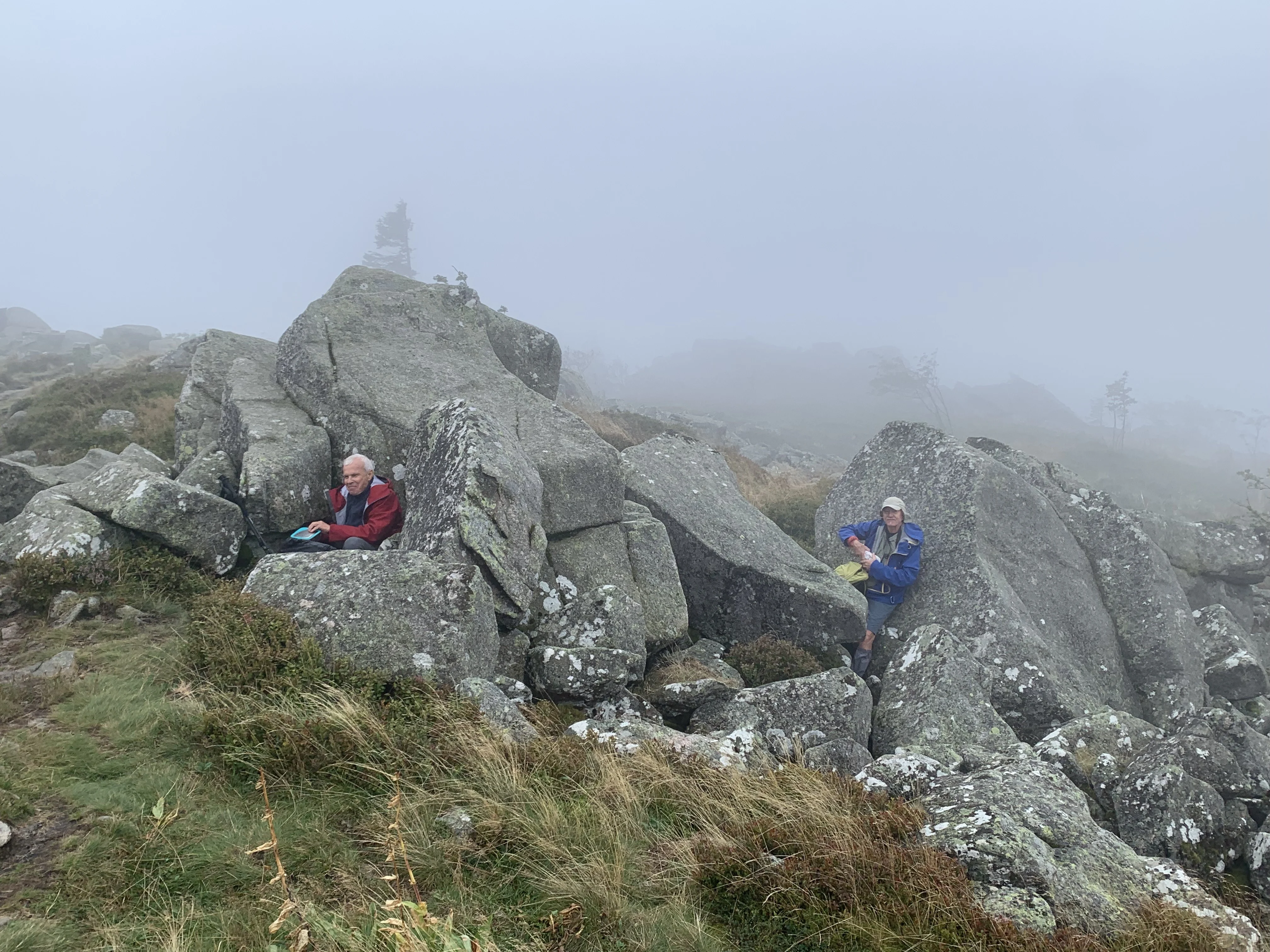 Schlucht-Hirschsteine