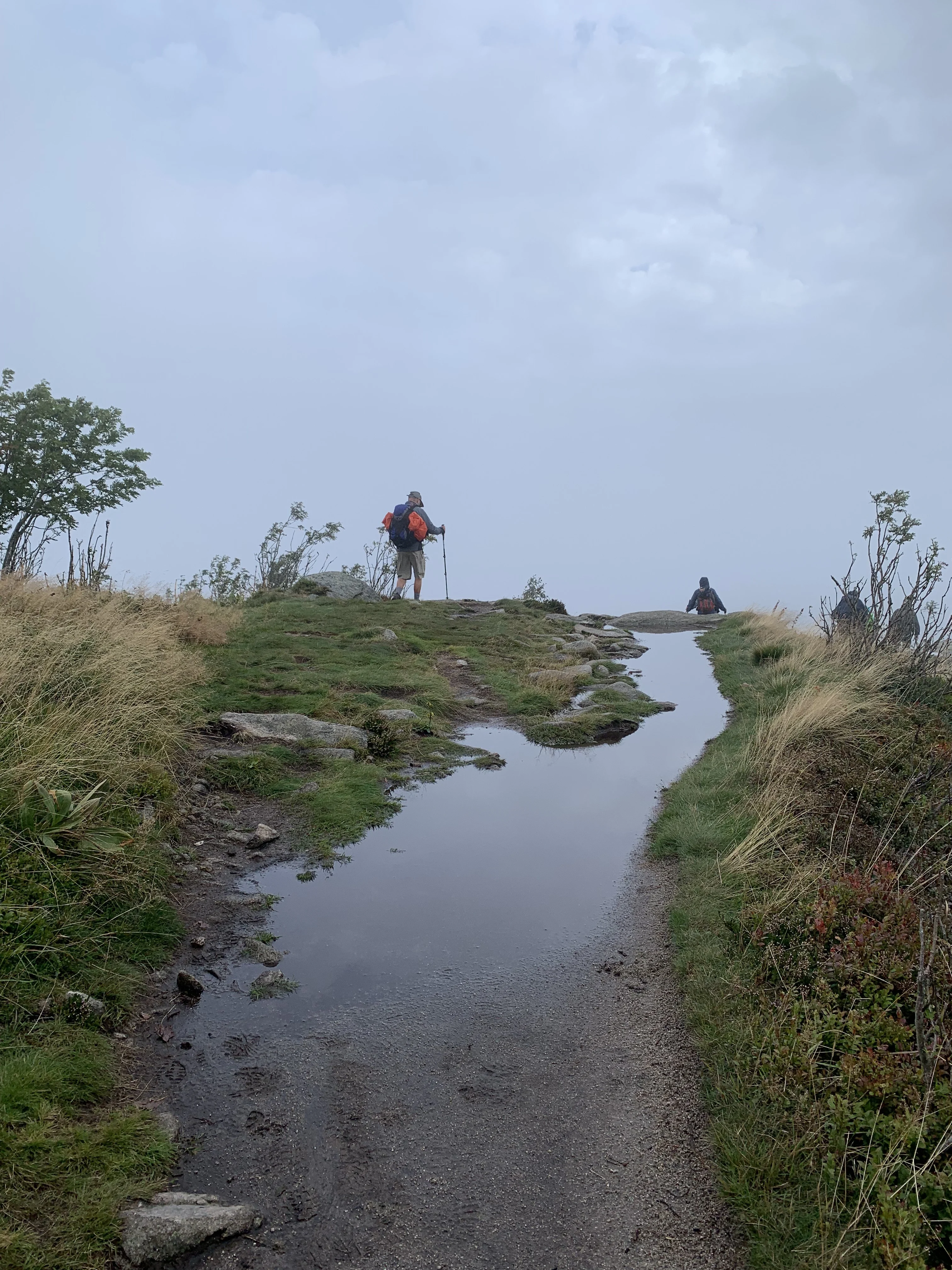 Schlucht-Hirschsteine