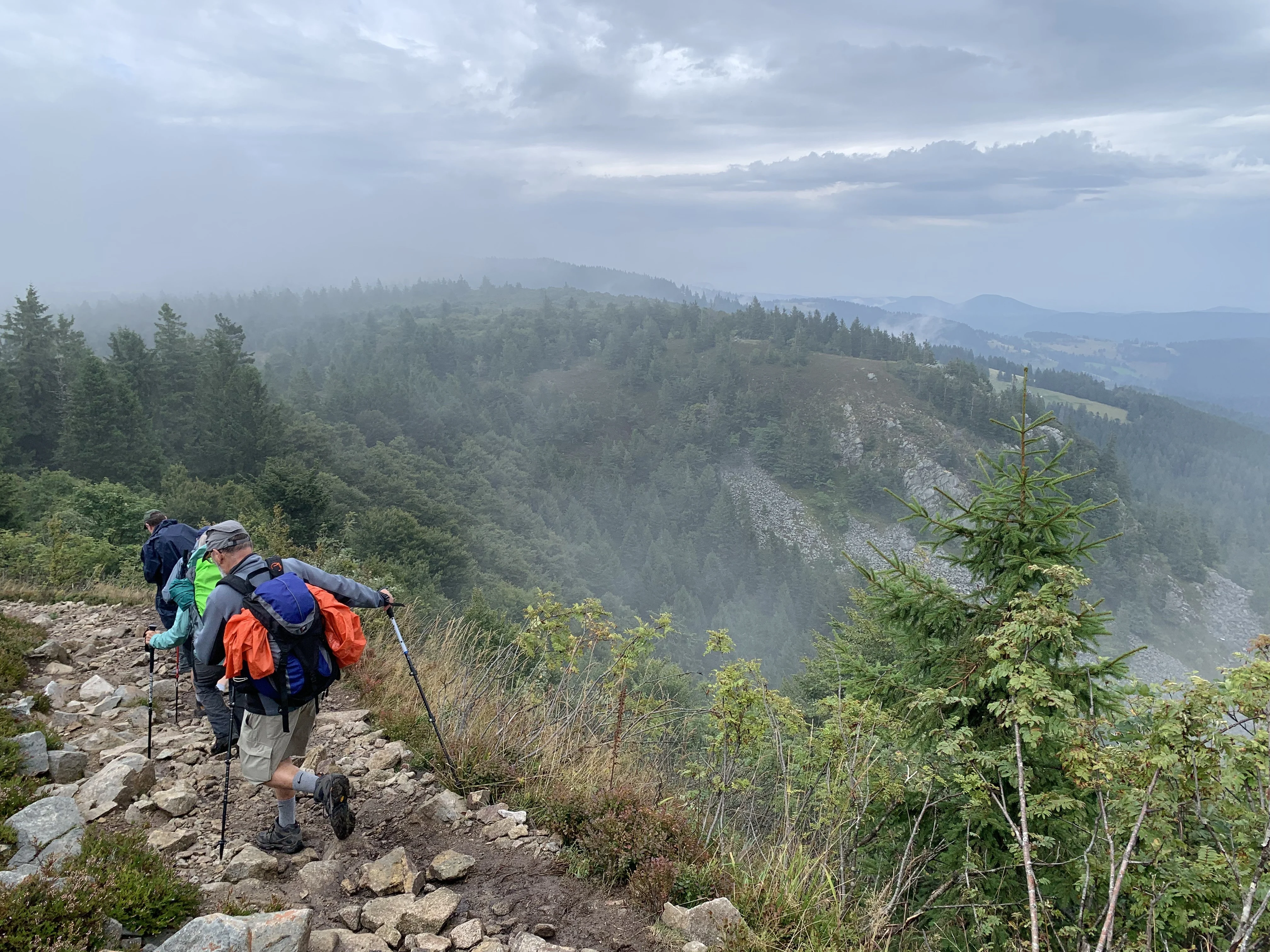 Schlucht-Hirschsteine