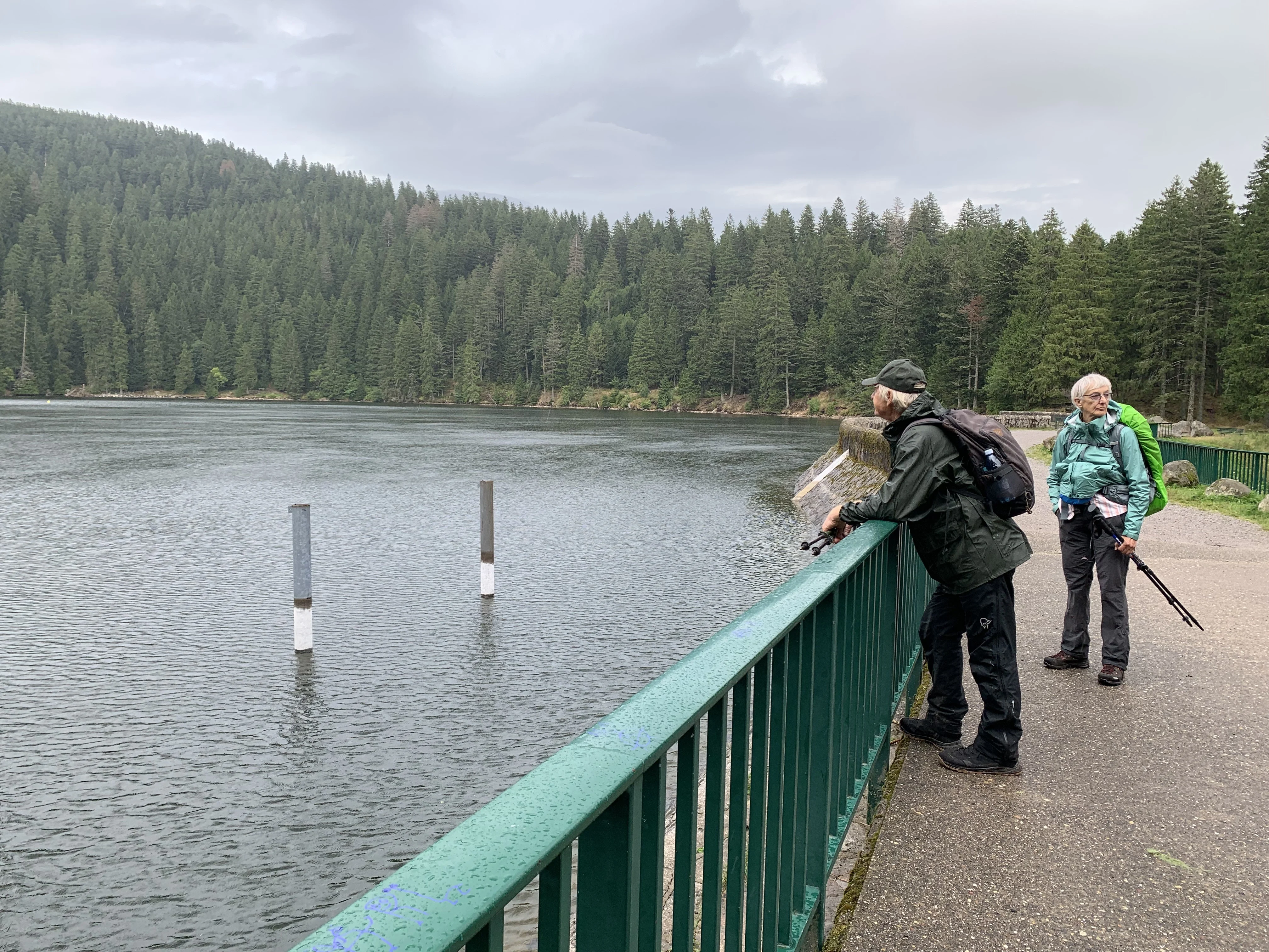 Schlucht-Hirschsteine