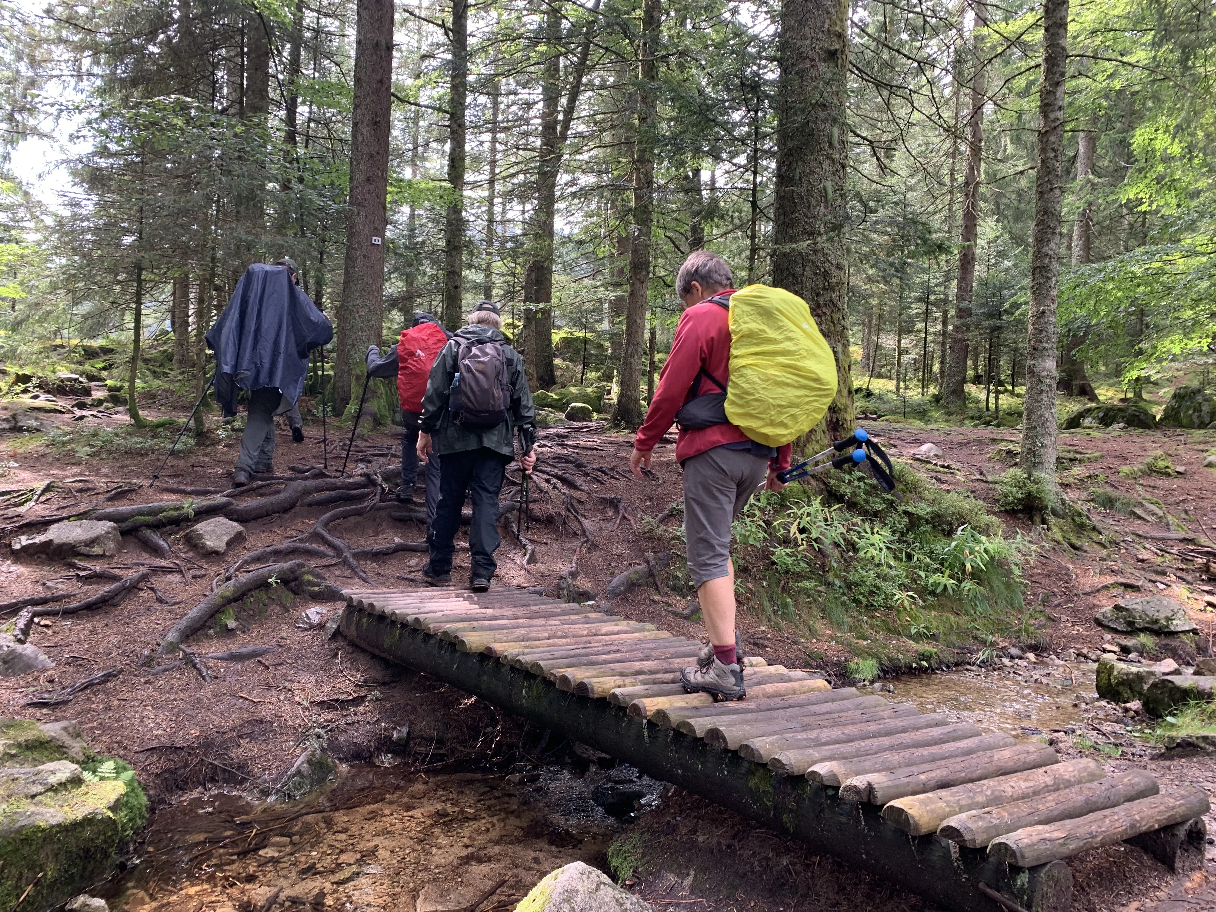 Schlucht-Hirschsteine