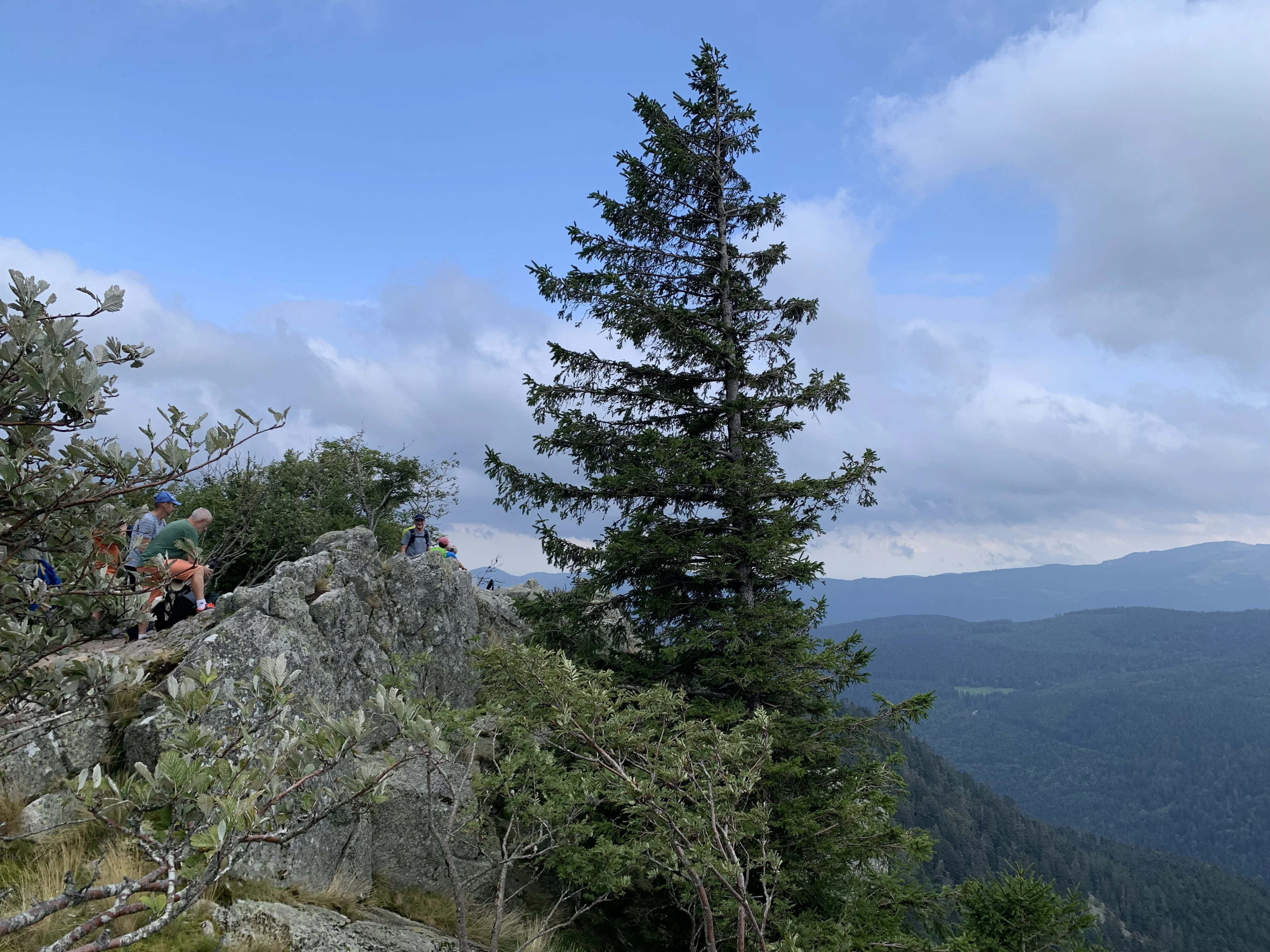 Schlucht-Hirschsteine