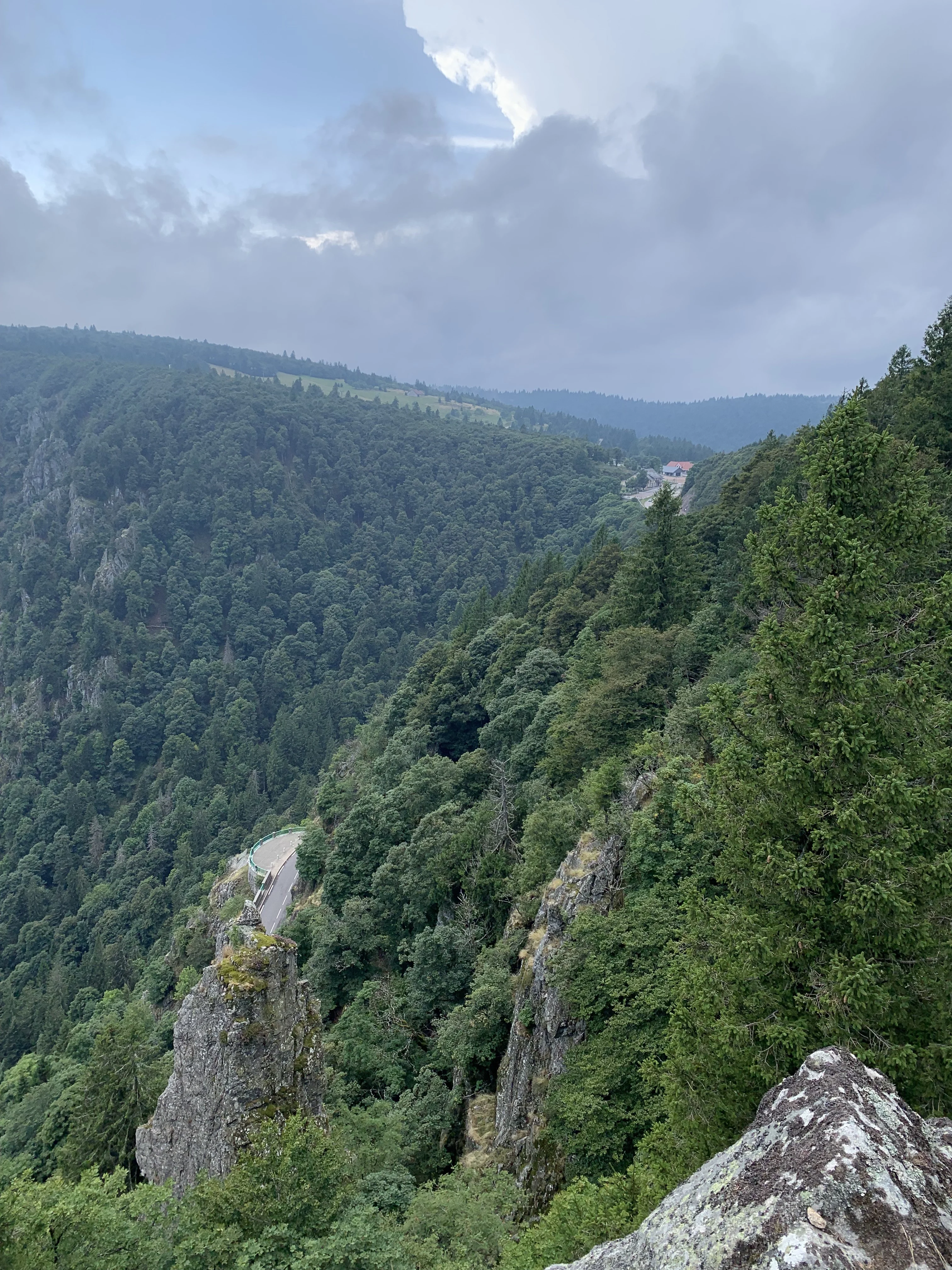 Schlucht-Hirschsteine