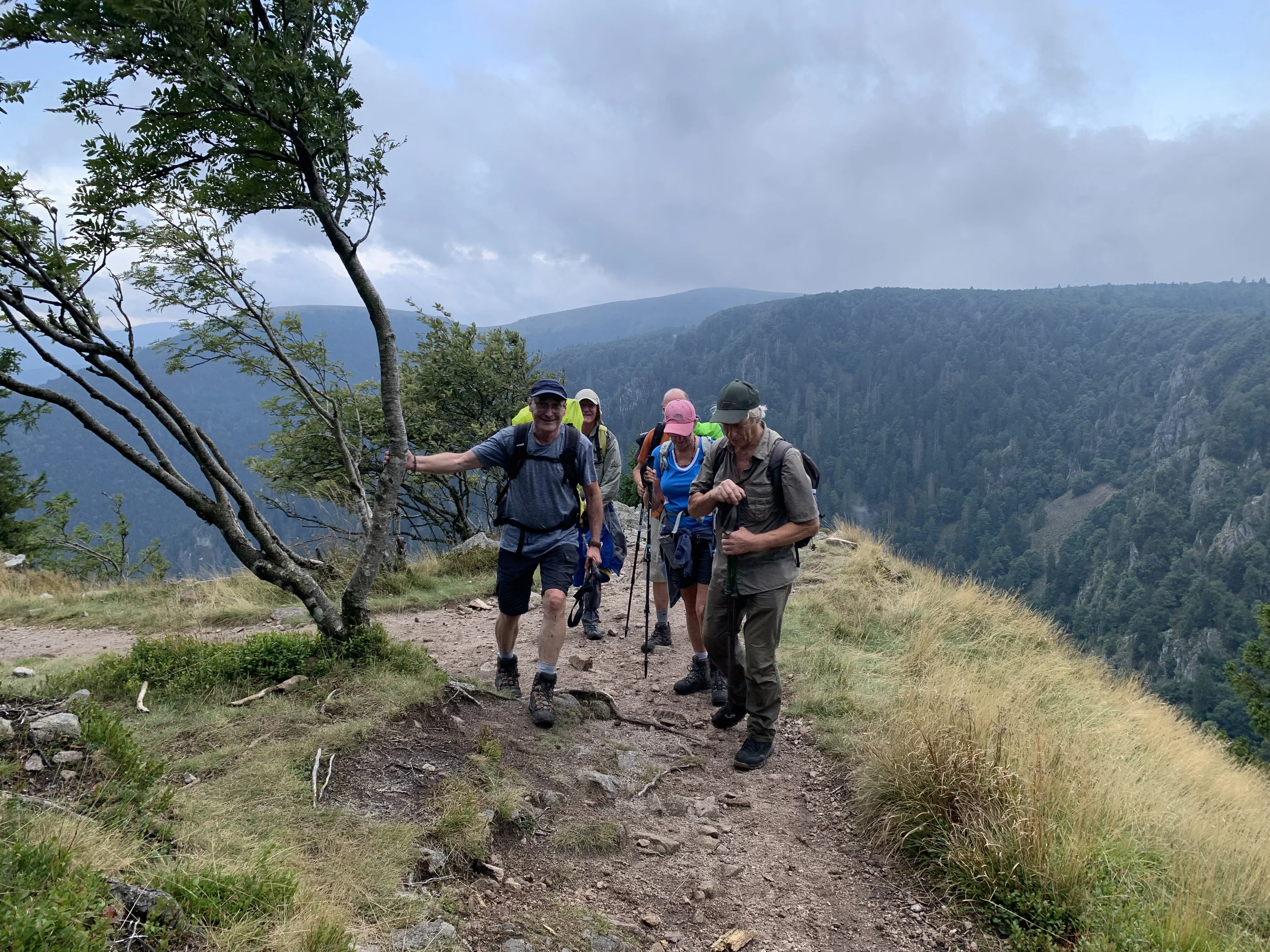 Schlucht-Hirschsteine