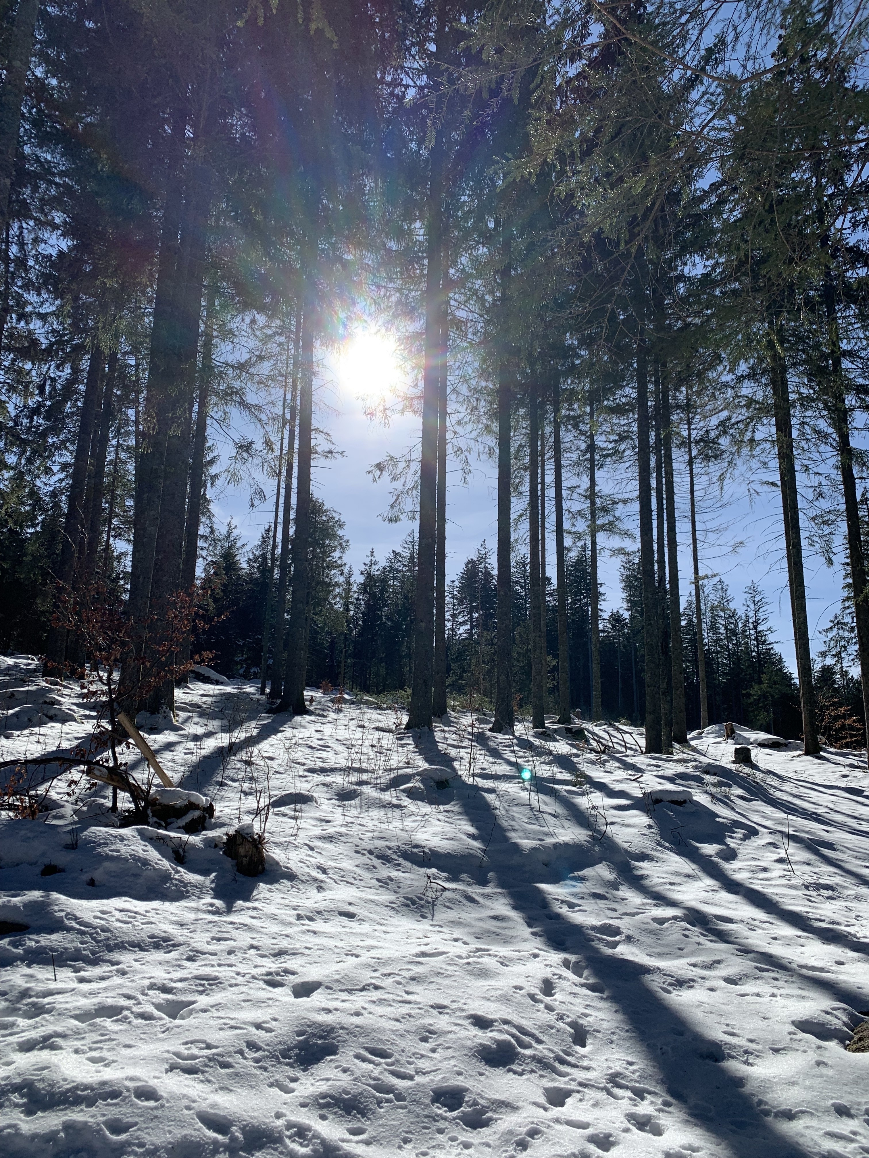 2023 Week-end Triberg