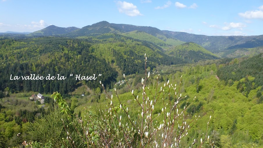 2016- Stig - Pandours