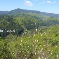 2016- Stig - Pandours