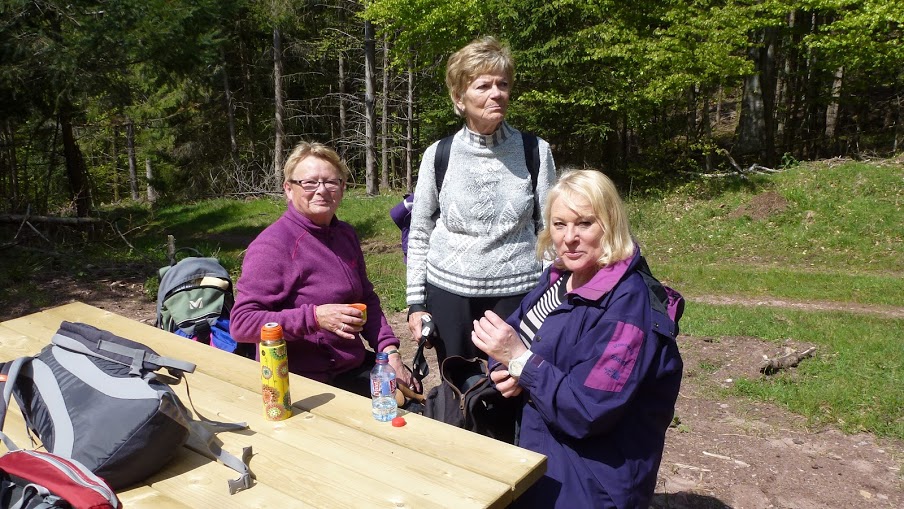 2016- Stig - Pandours