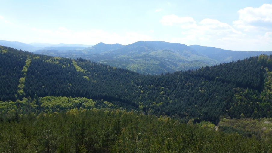 2016- Stig - Pandours