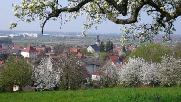 Blick auf zunsweier fruehjahr