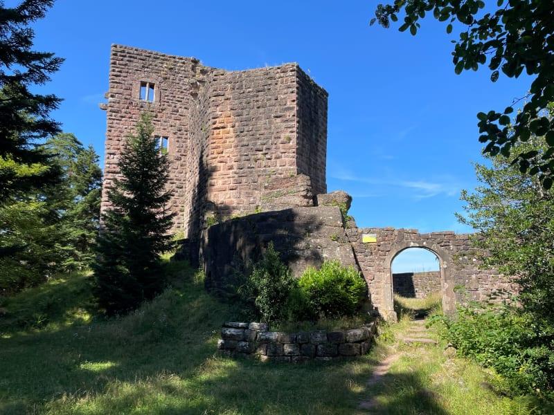 Chateau du birkenfels et retour par le kienberg