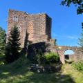 Chateau du birkenfels et retour par le kienberg