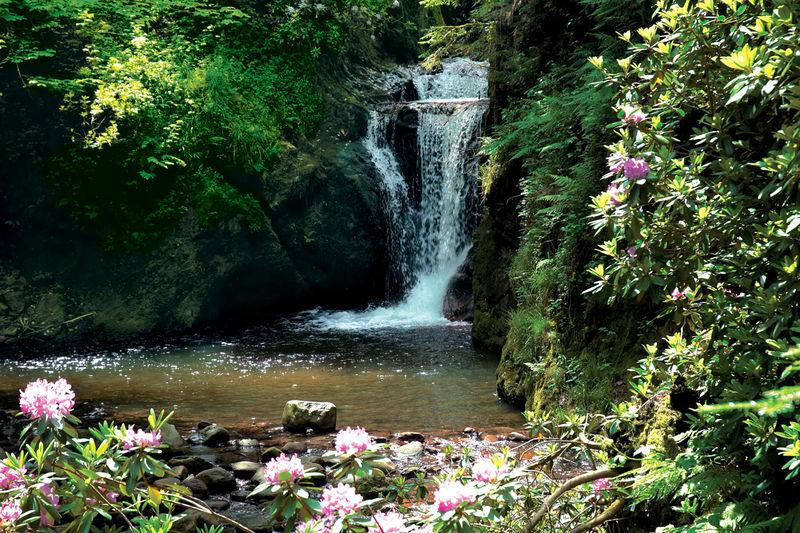 Chutes de geroldsau