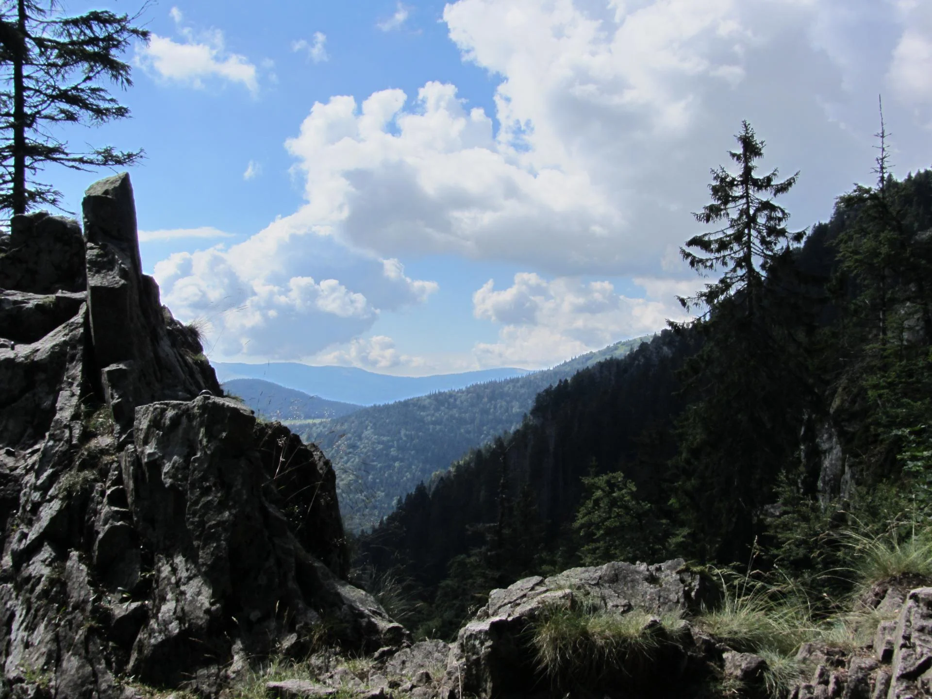 Img 0111 2021 12 19 02 47 34 utc 