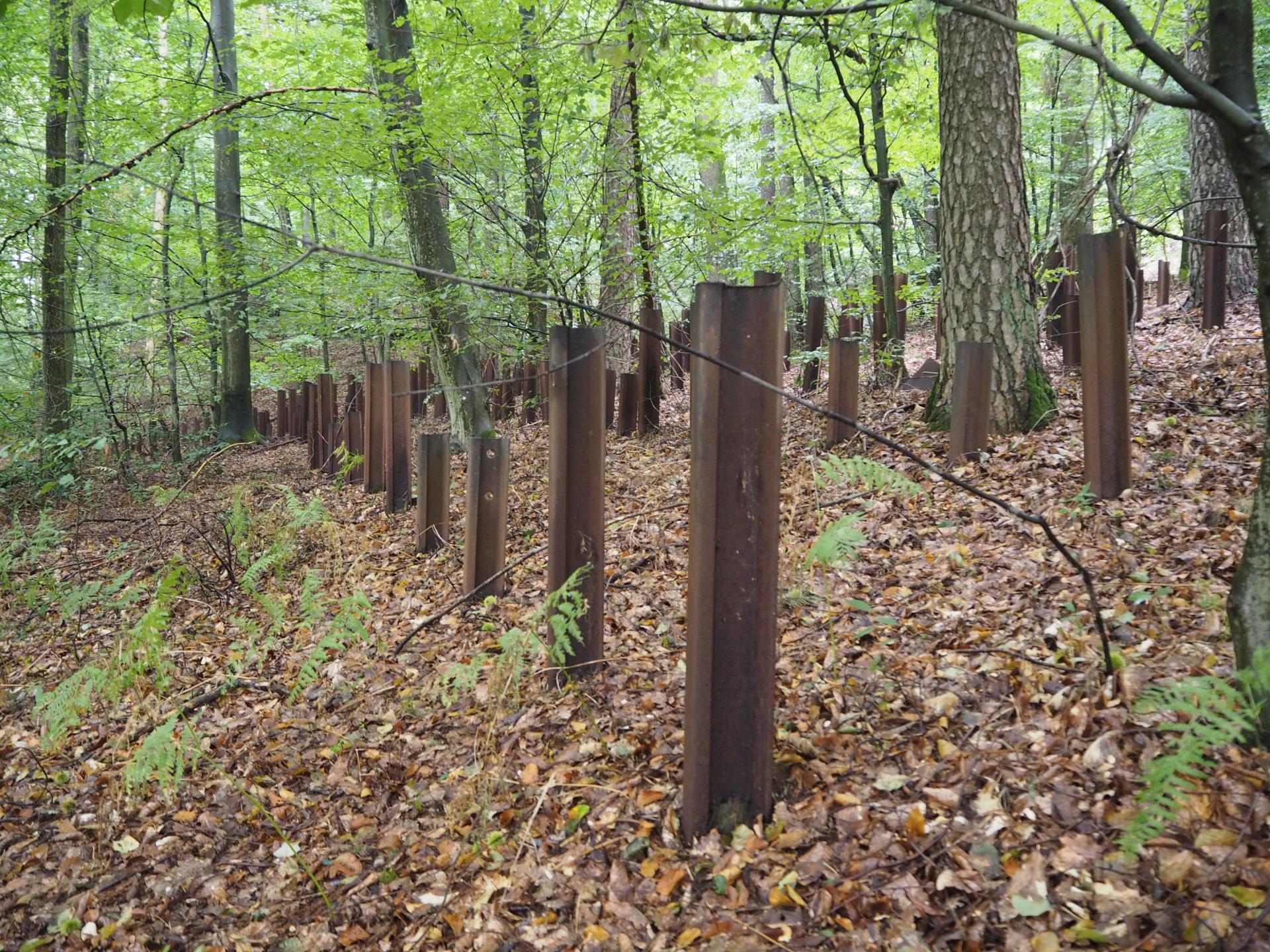 P9180045 2021 12 19 02 47 34 utc 