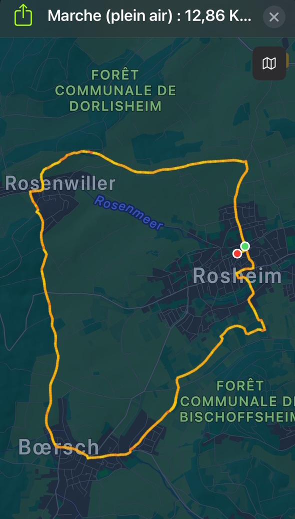Rosheim circuit